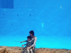 -华夏文旅海洋公园