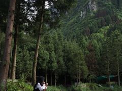 -重庆睡佛山森林公园