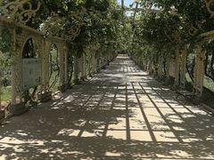 -北京张裕爱斐堡酒庄