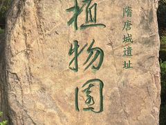 -洛阳市隋唐城遗址植物园