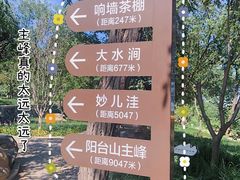 -阳台山自然风景区