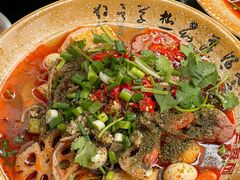 -芙蓉树下冒菜·麻辣烫(农院店)