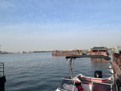 -溱湖国家湿地公园