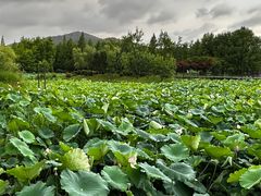 -长广溪湿地公园