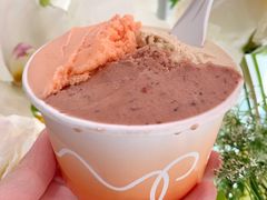 -Dip in Gelato(富民路店)