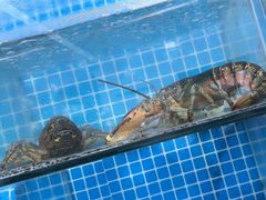 -宾朋海鲜特色美食餐厅·纯手工鲅鱼水饺(兴海路店)