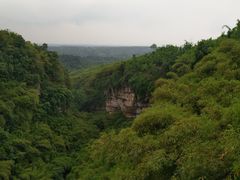 -川西竹海景区