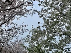 -中山公园