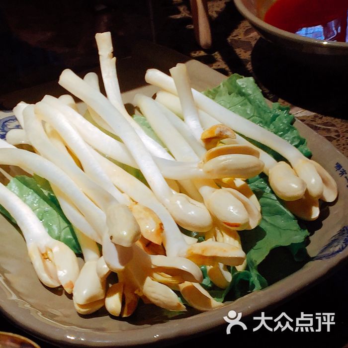 有机花生芽                 吃货来了额           半夏