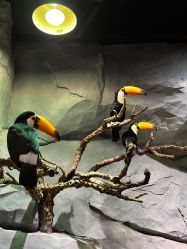 -Zoolung Zoolung动物主题公园(海信广场店)