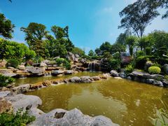 -东莞植物园