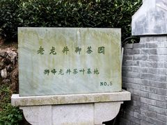 -十八棵（老龙井）御茶园(老龙井店)