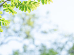-白塘生态植物园