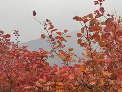 -周口店坡峰岭风景区