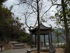 -羚羊峡古栈道森林公园