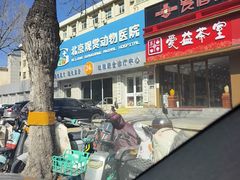 -北京观赏动物医院·24小时大型综合·猫专科·异宠专科