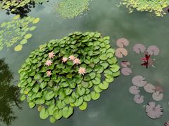 -国家植物园南园