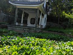 -深圳国际园林花卉博览园