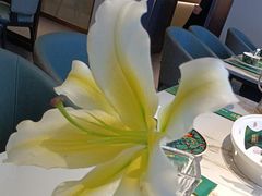-峰厨大鱼泡饼(水上公园店)