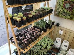 -谭家弄堂(亚欧商厦店)