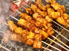 -生火火·地摊小炉子烧烤(龙湖北城金冠店)