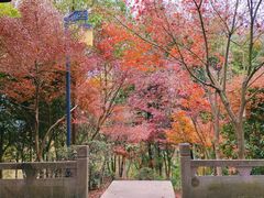 -东山公园