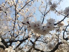 -金龙寺国家森林公园