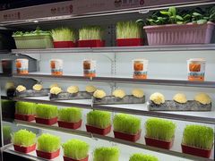 -番食园鲜食火锅(高新店)