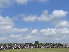 -盐城丹顶鹤湿地生态旅游区