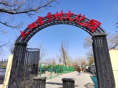 -太阳宫公园