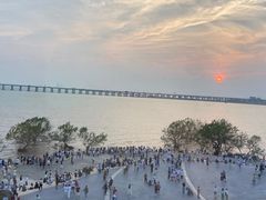 -宝安西湾红树林湿地公园