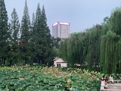 -包公祠