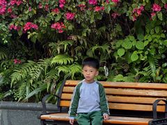 -深圳龙潭公园