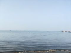 -仙人岛