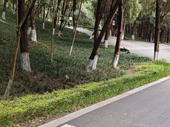 -富乐山