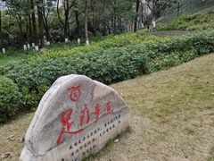 -重庆彩云湖湿地公园