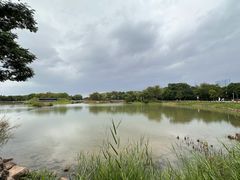 -福田红树林生态公园