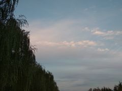 -洨河生态公园
