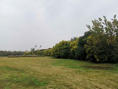 -白鹭湾湿地公园