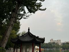 -莲湖公园