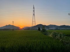 -李东农庄(中南百草园地标店)
