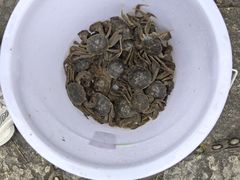 -红栌温泉山庄生态美食餐厅