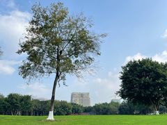 -重庆中央公园(渝北区)