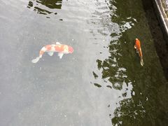 -顺德了能馆(虎门店)