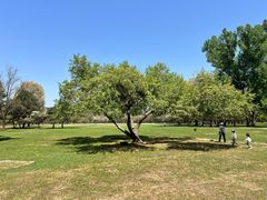 -承德避暑山庄景区