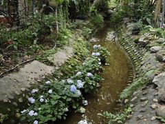 -凤来栖·净庭院·火锅(欧尚店)