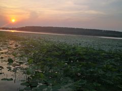 -丁香湖公园