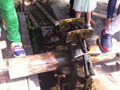 iphone_upload_pic-溱湖国家湿地公园