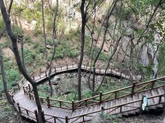 -大岭沟猕猴桃谷风景区