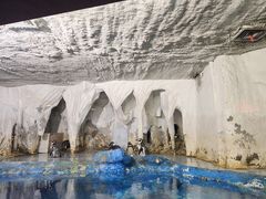 -太平洋海底世界